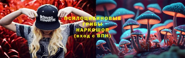 jwh Медногорск