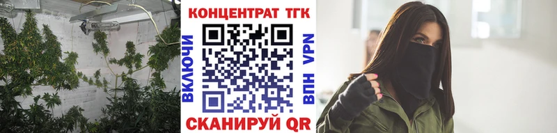 ТГК вейп  Сунжа 