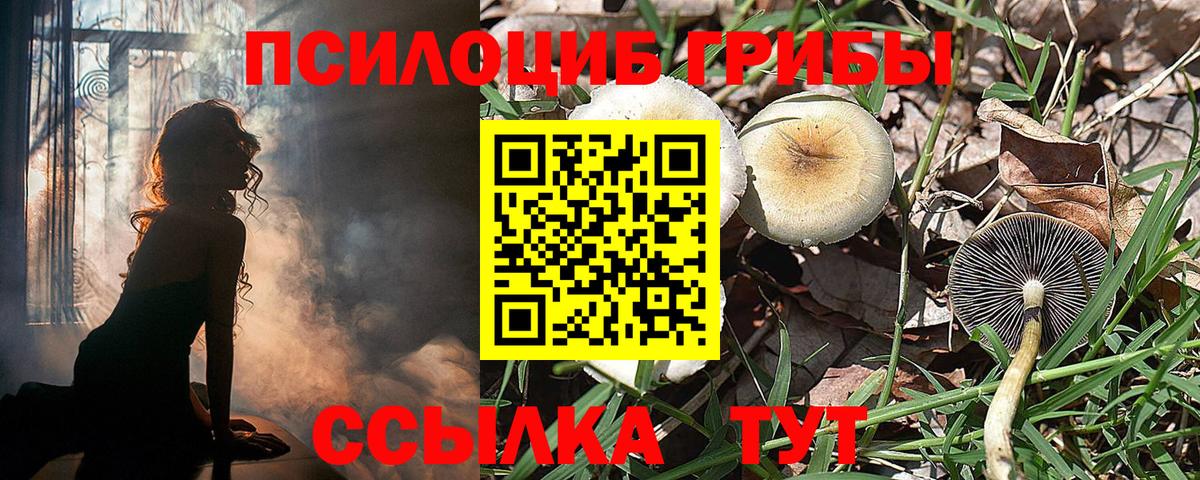 Псилоцибиновые грибы Magic Shrooms  Галлюциногенные грибы Cubensis  Сунжа  Вход с VPN 