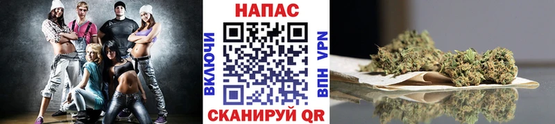 Канабис сатива  купить  цена  Сунжа 