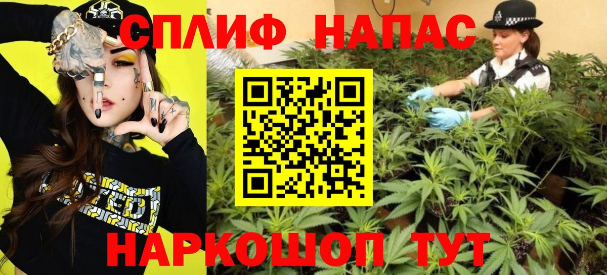 МАРИХУАНА ГИДРОПОН Сунжа